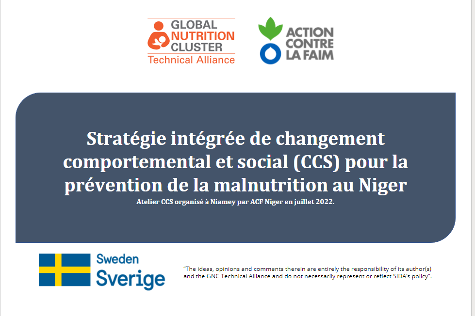 Niger SBC Strategic Action Plan-PP
