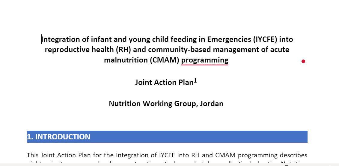Jordan Joint Action Plan 