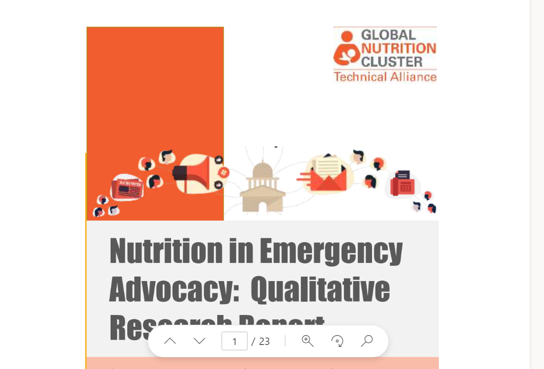 NiE Advocacy: Qualitative y research report 