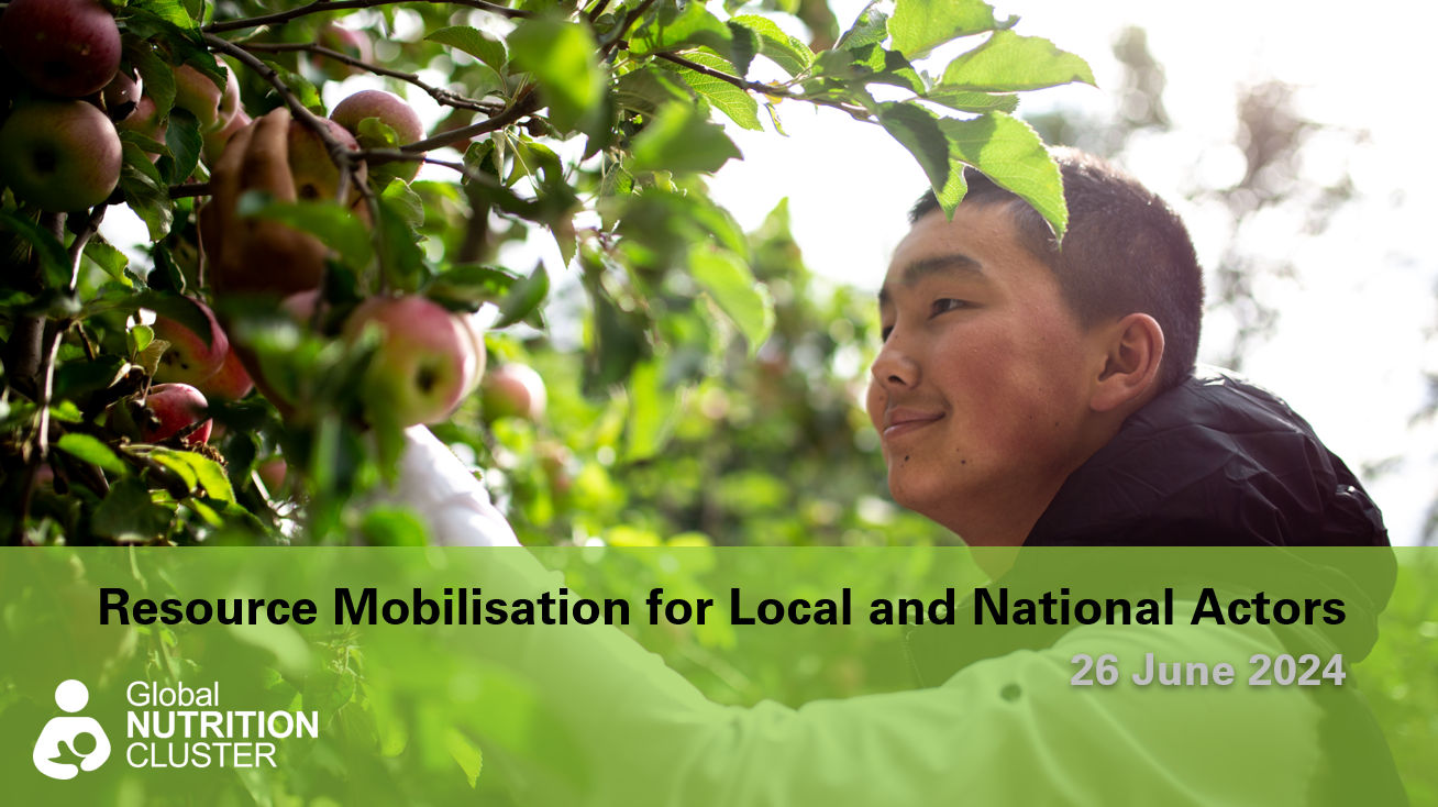 Resource Mobilisation for Local and National Actors presentation slides